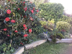 Photo 25- click for photo gallery